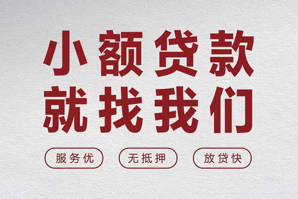 上海信用小额贷款不查征信