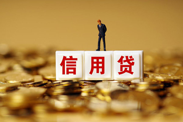 上海信用个人贷款额